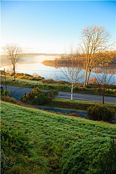 漂亮,秋天,晨雾,河,科克市,爱尔兰