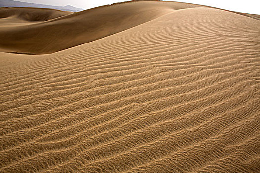 荒漠沙丘,沙子,大卡纳利岛