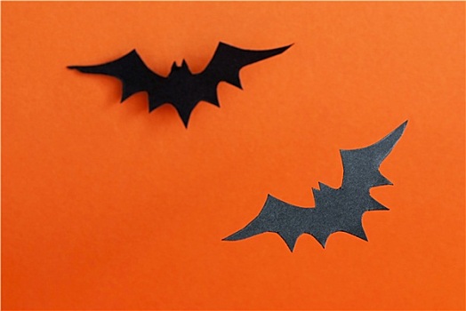 两个,蝙蝠,万圣节,背景