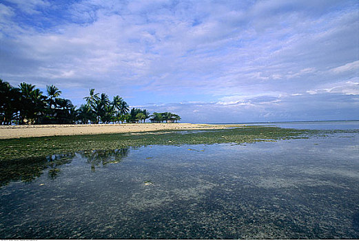岛屿,米沙鄢,菲律宾