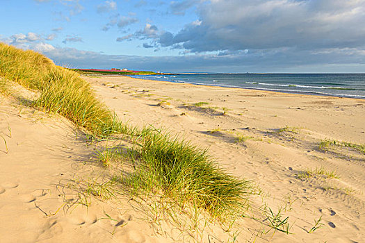 沙丘,海滩,北海,背景,诺森伯兰郡,英格兰,英国