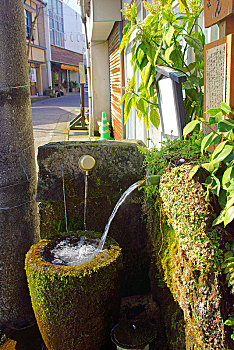 神祠,探索,水,熊本,日本