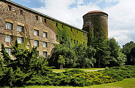 城堡,萨克森安哈尔特,德国,欧洲