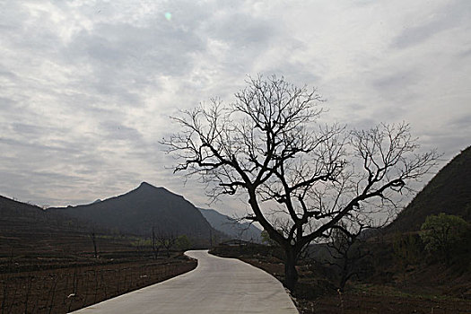 天空,树木,道路,神秘,空旷,山体,山头