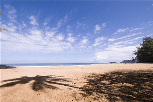 海滩,考艾岛,夏威夷,美国