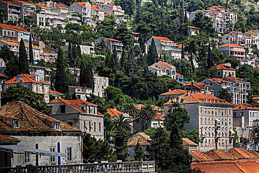 家,山坡,高处,历史名城,杜布罗夫尼克,亚德里亚海,南方,克罗地亚