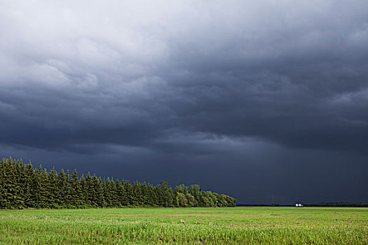 乌云,上方,草原,曼尼托巴,加拿大