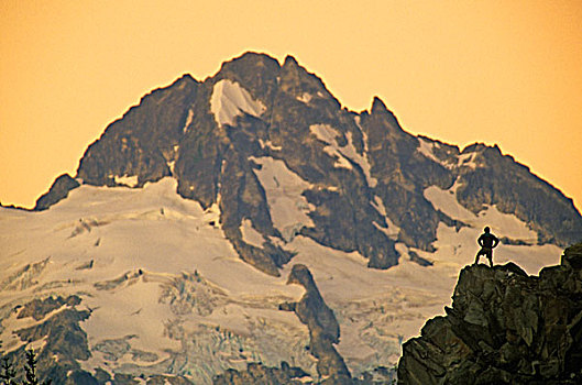 男人,站立,山脊,区域,不列颠哥伦比亚省,加拿大