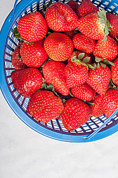 装在篮子中的草莓