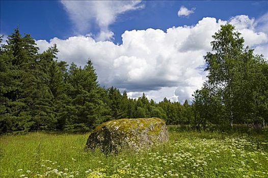 漂石,国家公园,爱沙尼亚,波罗的海国家,欧洲