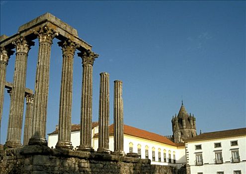 葡萄牙,皮肤,庙宇,计划,喜爱