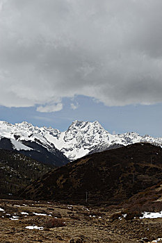 雪山草甸牛场