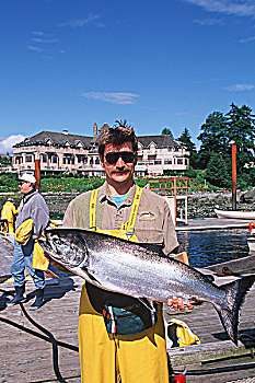 住宿,三文鱼,钓鱼,胜地,温哥华岛,不列颠哥伦比亚省,加拿大