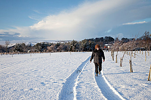 诺森伯兰郡,英格兰,女人,走,轮胎印,雪