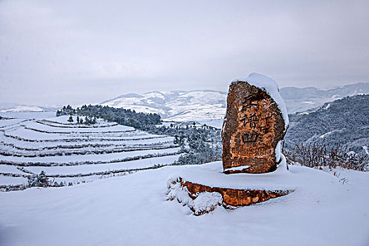 云南东川红土地雪原中的,乐谱凹,梯田