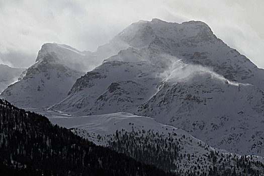 雪山,山脉,树林