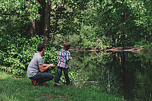 男孩,父亲,看,树林,河岸