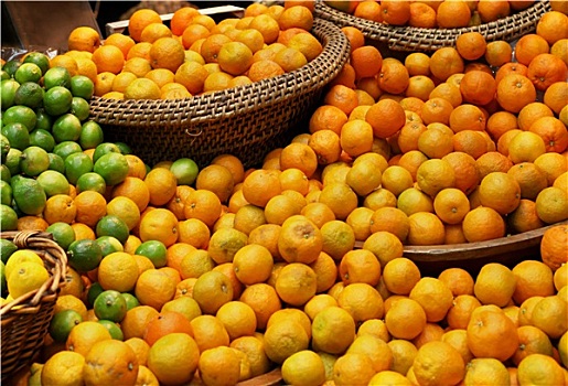 柑橘,品种