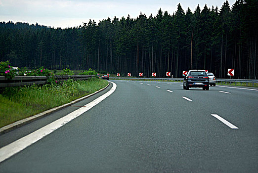 德国,高速公路,树林