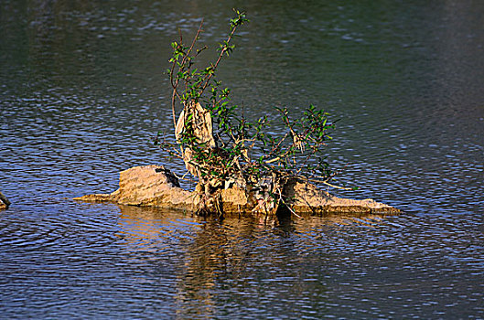 小西湖