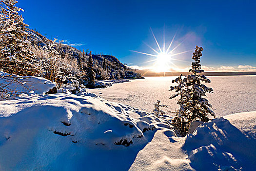 冬天,太阳,上方,海岸线,阿拉斯加