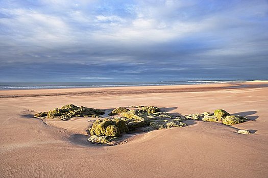 石头,海滩,自然保护区,苏格兰
