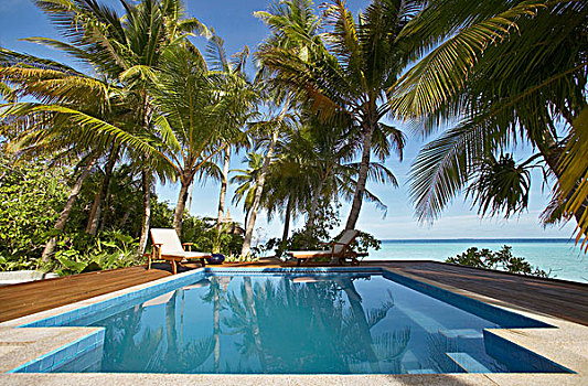 反射,棕榈树,游泳池,玛雅福喜岛,马尔代夫