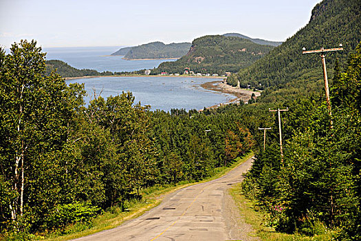 沿岸,道路,劳伦斯河,加斯佩半岛,魁北克,加拿大
