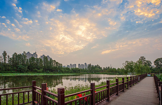 荆州,明月,公园,景色,很美丽