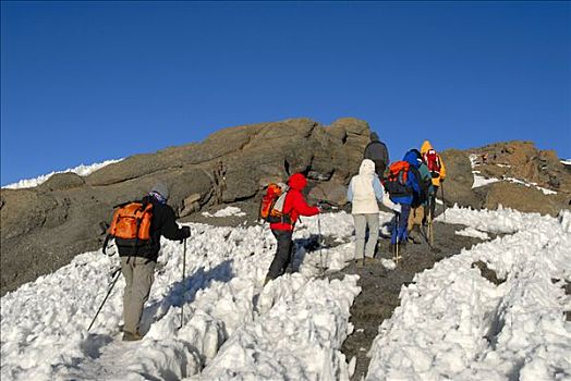 登山者,远足,上方,粗糙,雪,顶峰,乞力马扎罗山,坦桑尼亚