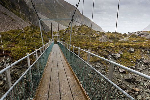 桥,上方,河,奥拉基国家公园,新西兰