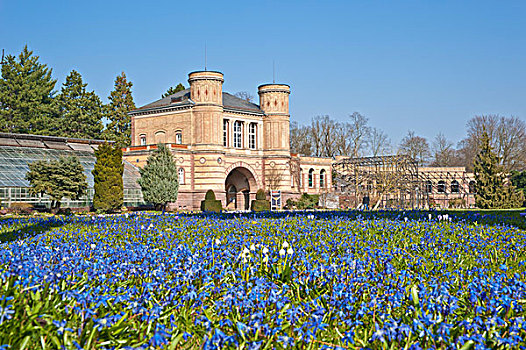 植物,花园,拱形,门房,卡尔斯鲁厄,城堡,巴登符腾堡,德国,欧洲