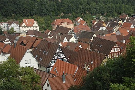 房子,屋顶,黑森林,巴登符腾堡,德国