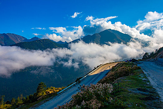 汽车风景