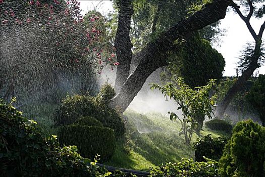 墨西哥,墨西哥城,洒水装置,浇水,花园