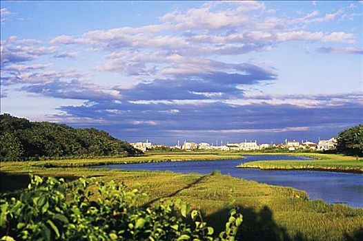 河,通过,风景,科德角,马萨诸塞,美国