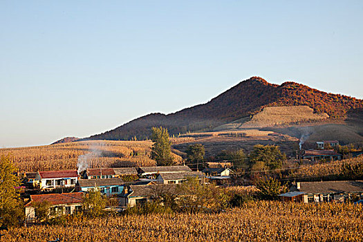 田园风光