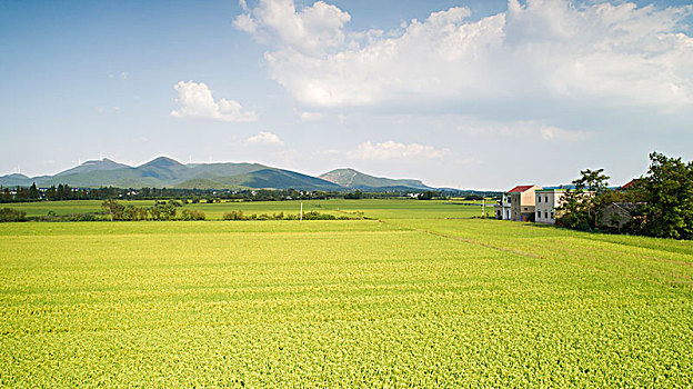 航拍美丽乡村秋季田园风光