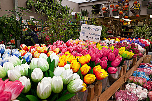 木质,郁金香,销售,花,市场,只有,漂浮,阿姆斯特丹,荷兰,欧洲