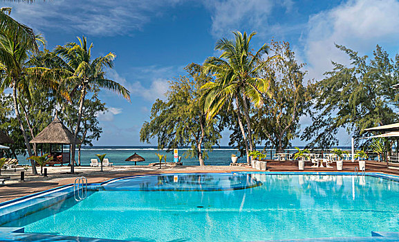 棕榈树,游泳池,湾,胜地,水疗,海洋,罗德里格斯岛,毛里求斯,非洲
