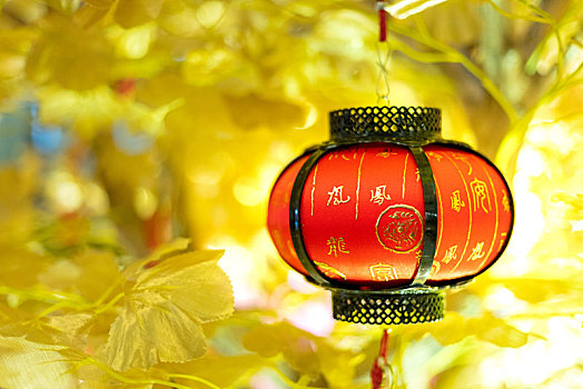 中国新年过年喜庆装饰