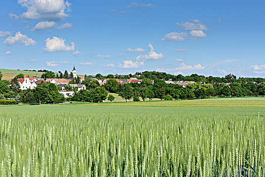 乡村,奥地利,布尔根兰
