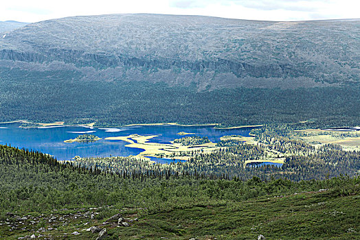风景,小路,湖,自然保护区,国家公园,瑞典