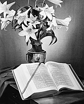 麝香百合,花瓶,圣经