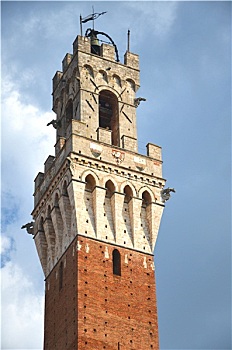 塔,共和宫,坎波广场,锡耶纳,托斯卡纳,意大利