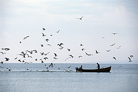 渔民,海上