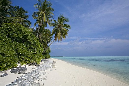 海滩,马尔代夫,印度洋