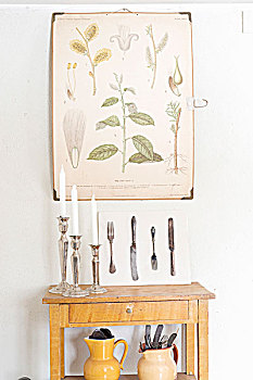 烛台,简单,桌子,仰视,植物,插画,盘子