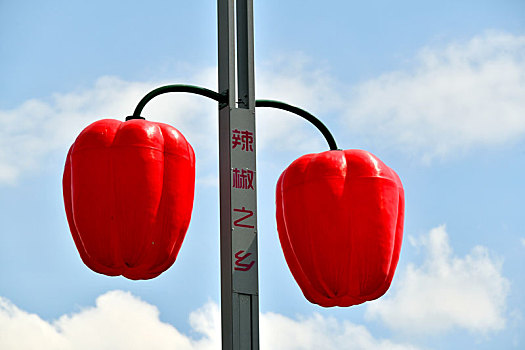 贵州省遵义市播州区石板镇乐意村,辣椒形状的路灯