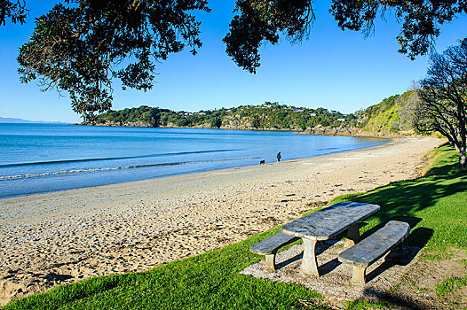 野餐,桌子,海滩,怀希基岛,北岛,新西兰,大洋洲